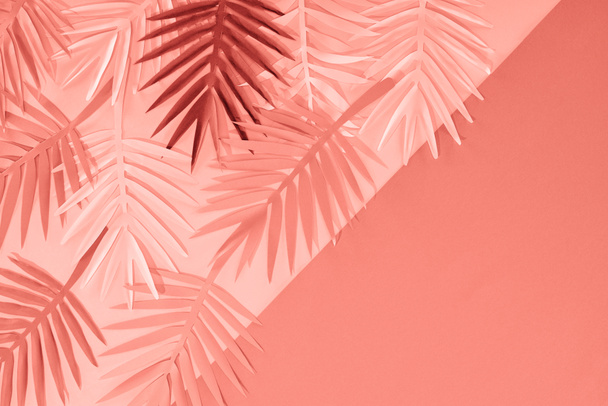 vista superior de hojas de palma cortadas de papel tropical de coral, fondo minimalista con espacio para copiar
 - Foto, Imagen