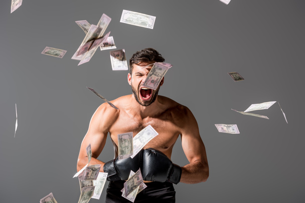 Boxer torse nu hurlant sur gris avec des billets en dollars tombants
 - Photo, image