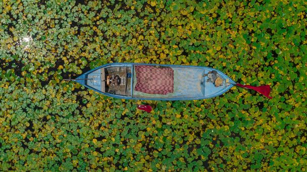 zona de flores de loto de agua rara y tranquilo paseo en barco
 - Foto, Imagen