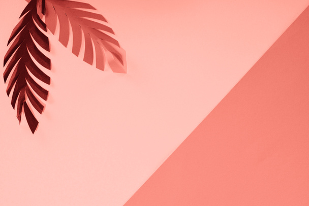 vue du dessus des feuilles de palmier coupées en papier corail tropical, fond minimaliste avec espace de copie
 - Photo, image