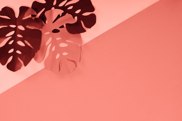 vista superior de coral tropical papel cortar folhas de palma, fundo minimalista com espaço de cópia
 - Foto, Imagem