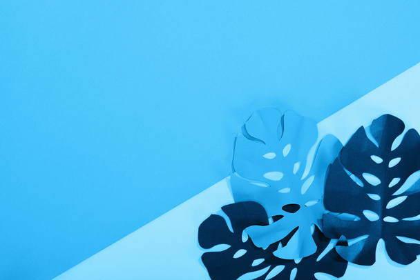 top view of paper tropical leaves on blue minimalistic background with copy space - Photo, Image