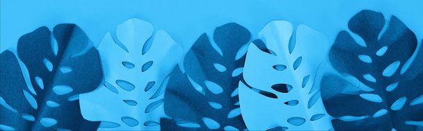 felülnézet a papír levelek kék minimalista háttér, panoráma lövés - Fotó, kép