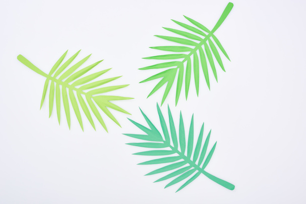 felülnézet zöld papíron vágott trópusi levelek elszigetelt fehér - Fotó, kép