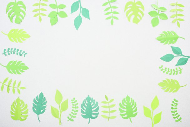 vista superior del papel verde cortar hojas tropicales aisladas en blanco con espacio de copia
 - Foto, imagen