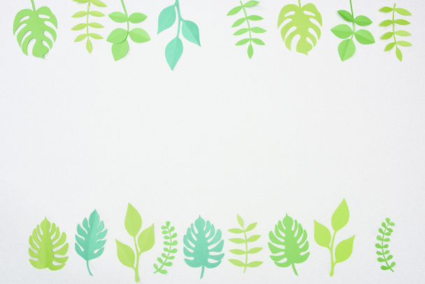 vista superior del papel verde cortar hojas tropicales aisladas en blanco con espacio de copia
 - Foto, Imagen