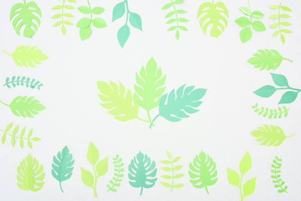Widok z góry zielonego papieru wyciąć tropikalne liście izolowane na białym - Zdjęcie, obraz