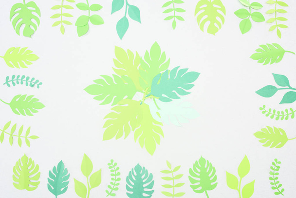 top view of green paper cut tropical leaves isolated on white - Zdjęcie, obraz