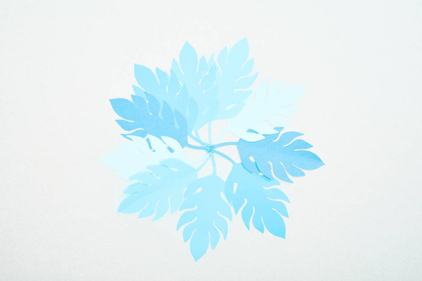 top view of blue paper cut tropical leaves isolated on white with copy space - Foto, immagini