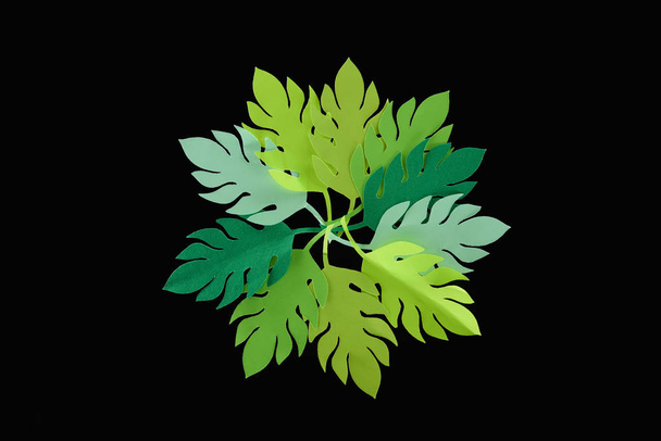 top view of paper cut green leaves isolated on black, background pattern - Foto, imagen