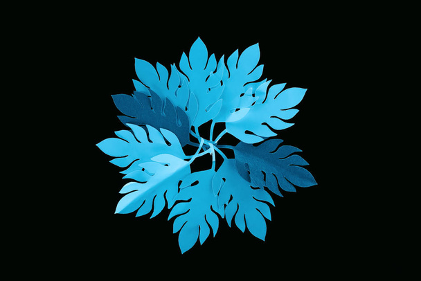 top view of paper cut blue leaves isolated on black, background pattern - Foto, immagini