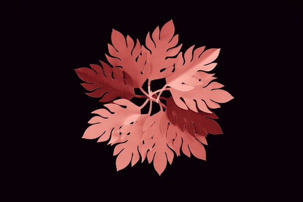 top view of paper cut coral leaves isolated on black, background pattern - Zdjęcie, obraz