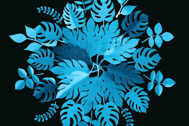 top view of paper cut blue leaves isolated on black, background pattern - Foto, afbeelding
