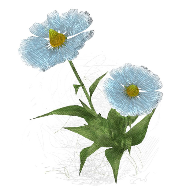 watercolor flower isolated on white - Fotografie, Obrázek