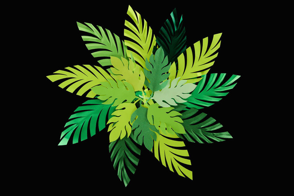 top view of paper cut green leaves isolated on black, background pattern - Foto, Imagem