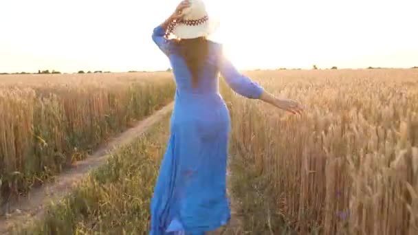 schöne Frau in blauem Kleid und Hut läuft bei Sonnenuntergang durch ein Weizenfeld. Freiheitsbegriff. Weizenfeld bei Sonnenuntergang - Filmmaterial, Video