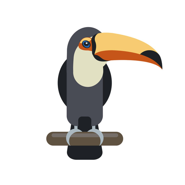 Pájaro tucán. Ilustración vectorial plana
 - Vector, Imagen