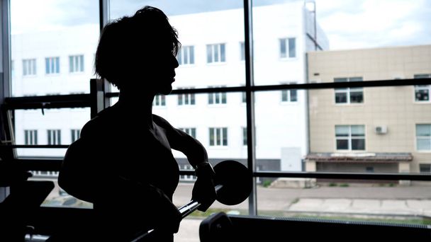 Silhouette di una donna alla finestra che solleva il bilanciere per muscoli delle spalle
. - Foto, immagini