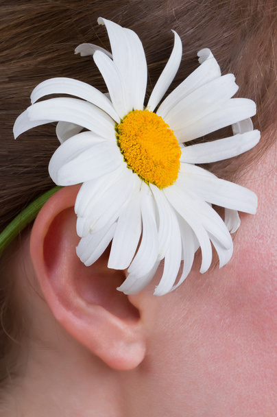 A girl with a daisy behind ear - Фото, изображение