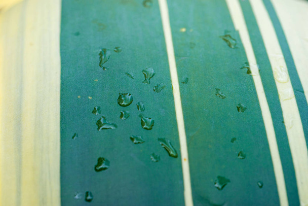 Το κίτρινο και πράσινο ριγέ φύλλωμα αυτής της αναφυλιωμένης αγαύης κάνει ένα ενδιαφέρον αφηρημένο βοτανικό φόντο - Φωτογραφία, εικόνα