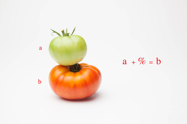 zielony pomidor, czerwony pomidor, dojrzałe i dojrzałe, świeżo przywiezione z ogrodu na rynek. Dojrzałe pomidory są słodsze i mają być spożywane, zielone pomidory są o dojrzewać. Organiczne pomidory, mogą być spożywane na surowo w sokach i w sałatkach lub jako  - Zdjęcie, obraz