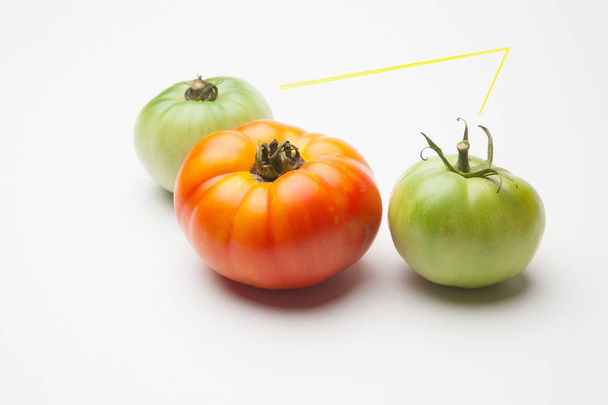 vihreä tomaatti, punainen tomaatti, kypsä ja kypsä, juuri tuotu puutarhasta markkinoille. Kypsät tomaatit ovat makeampia ja pian kulutetaan, vihreät tomaatit ovat kypsymässä. Orgaaniset tomaatit, voidaan kuluttaa raaka mehut ja salaatit tai
  - Valokuva, kuva