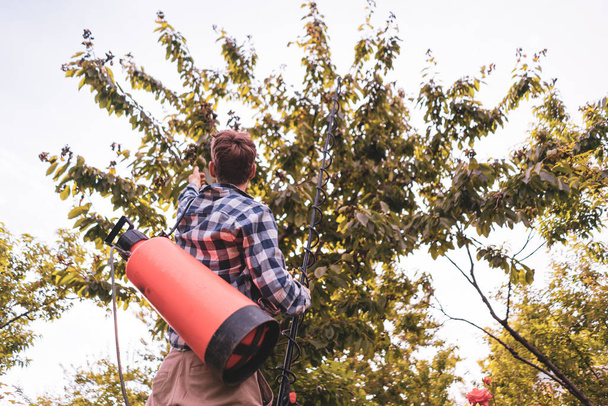 ポンプを使用して木の葉にスプレー殺虫剤保護を適用する男性農家 - 写真・画像