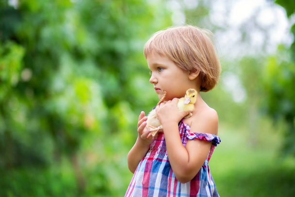 Маленька дівчинка в сонечку коштує траві в селі і обіймає маленьке каченя з серцем на голові
 - Фото, зображення