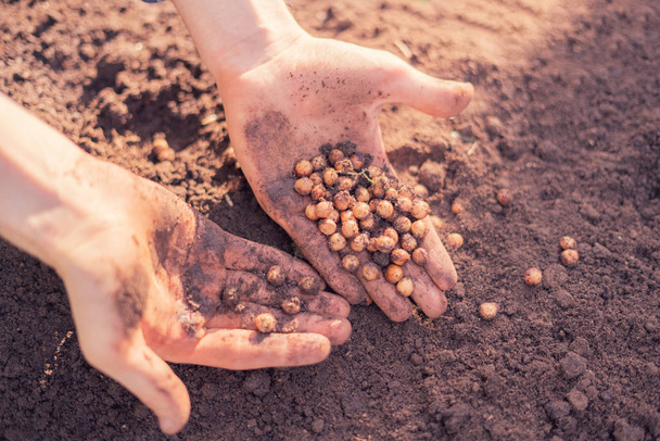 farmer hands holding the seeds to plant them into soil - Фото, зображення