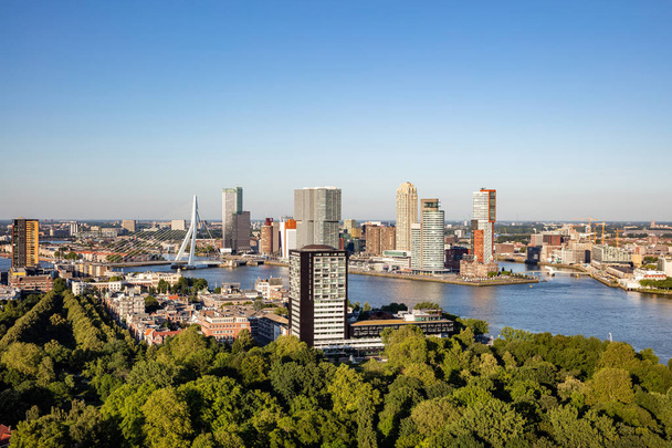 Rotterdam Nizozemsko panoráma a most Erasmus. Letecký pohled z věže Eurostěžeň, slunečný den - Fotografie, Obrázek
