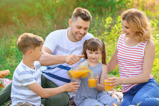 Happy family on summer picnic in park - Zdjęcie, obraz