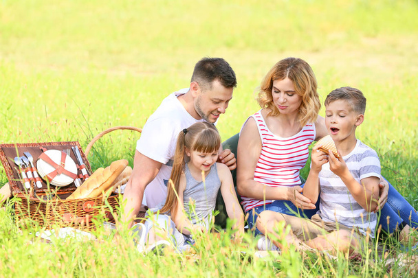 Familia feliz en el picnic de verano en el parque
 - Foto, Imagen