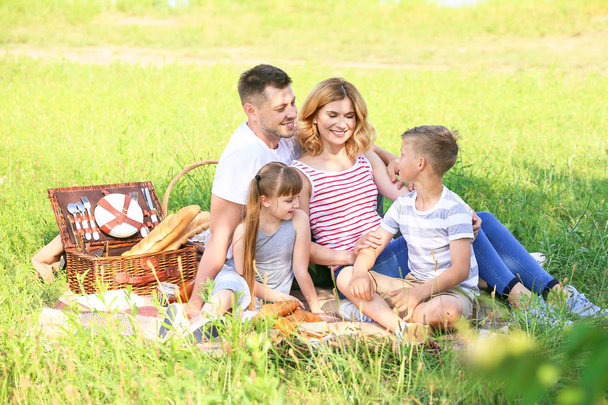 Šťastná rodina na letní piknik v parku - Fotografie, Obrázek