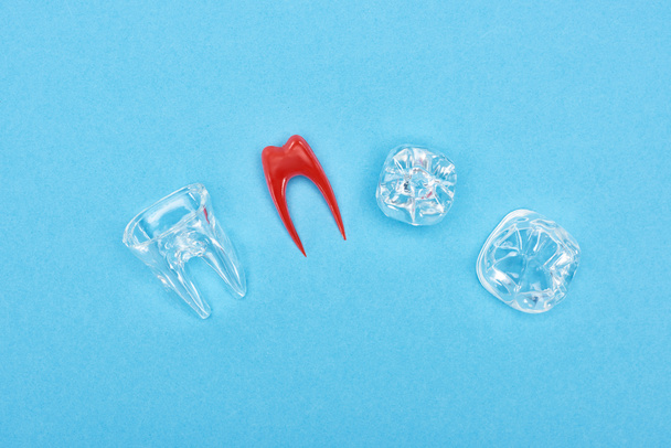 vista superior del modelo de dientes de silicona cerca de la raíz dental roja y empastes de dientes aislados en azul
  - Foto, imagen