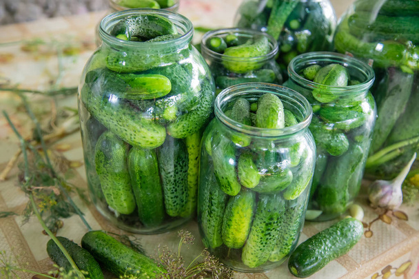 behoud van fresh huis komkommers. Selectieve aandacht. - Foto, afbeelding