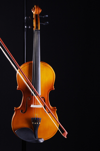 Violin on a dark background - Foto, afbeelding