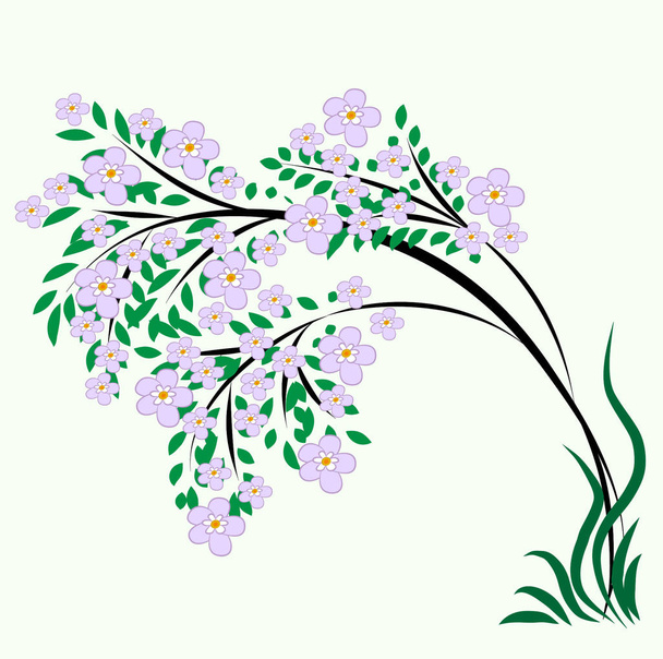 Árbol floreciente - gráficos. Un árbol delgado esparcido con enormes flores de color lila y doblado desde el peso de la magnífica corona
. - Vector, Imagen