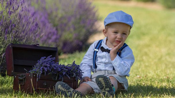 Beautiful little boy on a sunny day in a lavender field - Фото, изображение