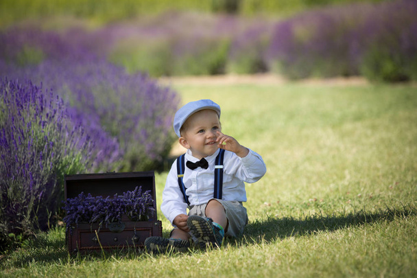 A kis fiú állt a gyönyörűen virágzó levendula területén - Fotó, kép