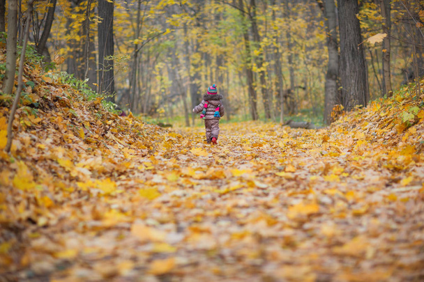 a small child goes on the road to the autumn golden park. baby walks outdoor - Фото, изображение