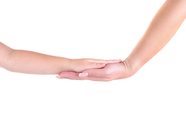 Hand of mother and little girl daughter holding each other on white background - Photo, Image