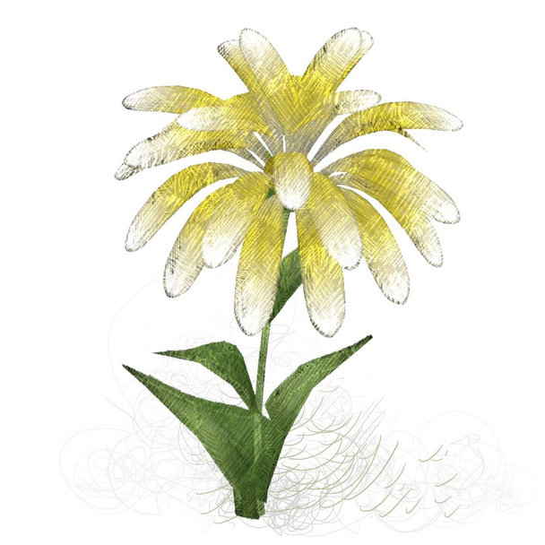 beautiful flowers on white background  - Фото, зображення