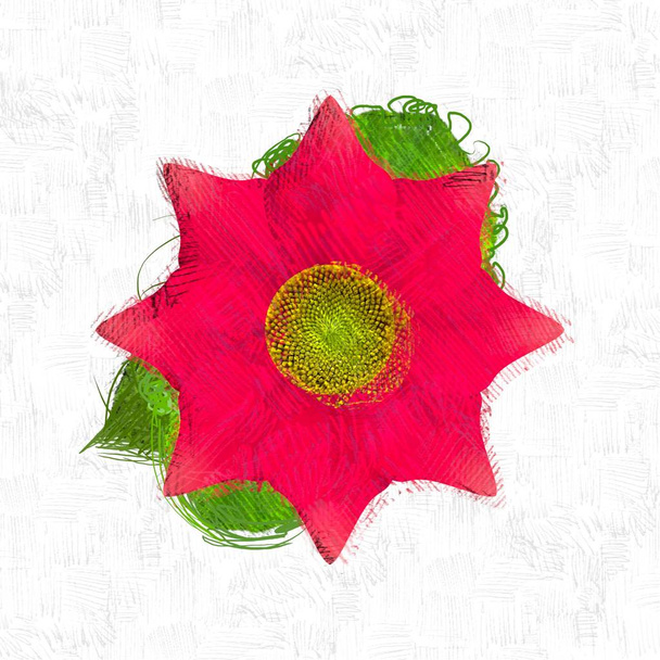 Fondo colorido textura flor
  - Foto, imagen
