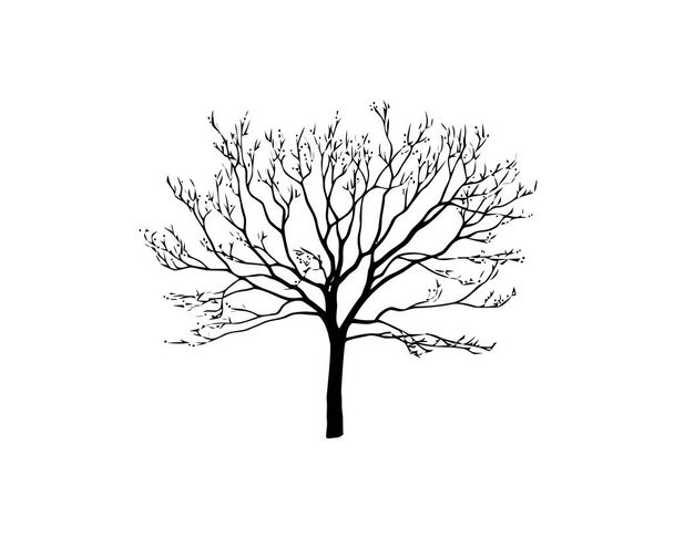 Black tree silhouette isolated on white background. Vector illustration - Vettoriali, immagini
