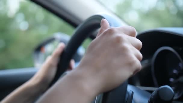 Mujeres manos en el volante del coche durante la unidad
 - Imágenes, Vídeo