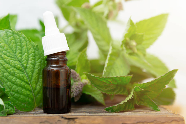 Natural peppermint essential oil in a glass bottle with fresh mi - Foto, Imagen