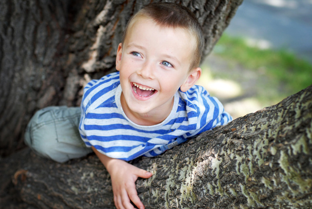 Little boy sitting on the tree - Foto, imagen