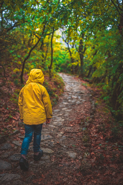 Girl in yellow jacked walking in woods - Foto, imagen
