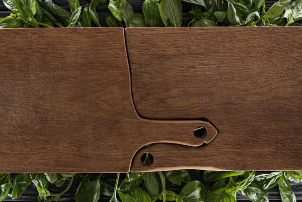 top view of wooden cutting boards on leaves of basil  - Photo, Image