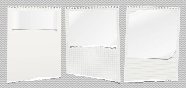Conjunto de notas rasgadas, cuaderno forrado, hojas de papel cuadradas pegadas sobre fondo ondulado. Ilustración vectorial
 - Vector, imagen